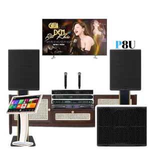 COMBO KARAOKE NEXO GD-016 LOA NEXO P8 – SUB NEXO L15 – MICRO SHURE SM58 – POWERSOFT T604A