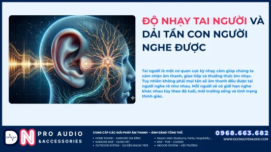 Độ Nhạy Tai Người Và Dải Tần Con Người Nghe Được